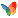 MSN